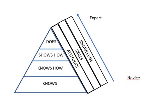 Which of these is an 2025 example of a clinical skill